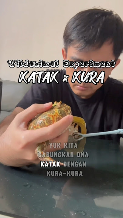 DNA katak dan Kura digabung #wildanimalexperiment #fiksi #animal #science