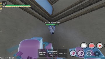 [YBA] Flying Bruce Brunorati and Infinite Barrage