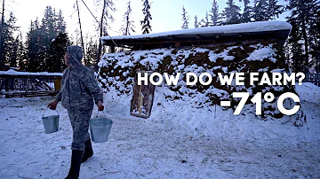 Farming at -71°C (-95°F) | Yakutia