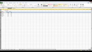 Excel 2010: Inserting & Deleting Columns and Rows Net Worth