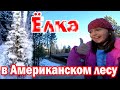 VLOGMAS #2 / Срубили САМУЮ КРАСИВУЮ ЕЛКУ в АМЕРИКАНСКОМ лесу