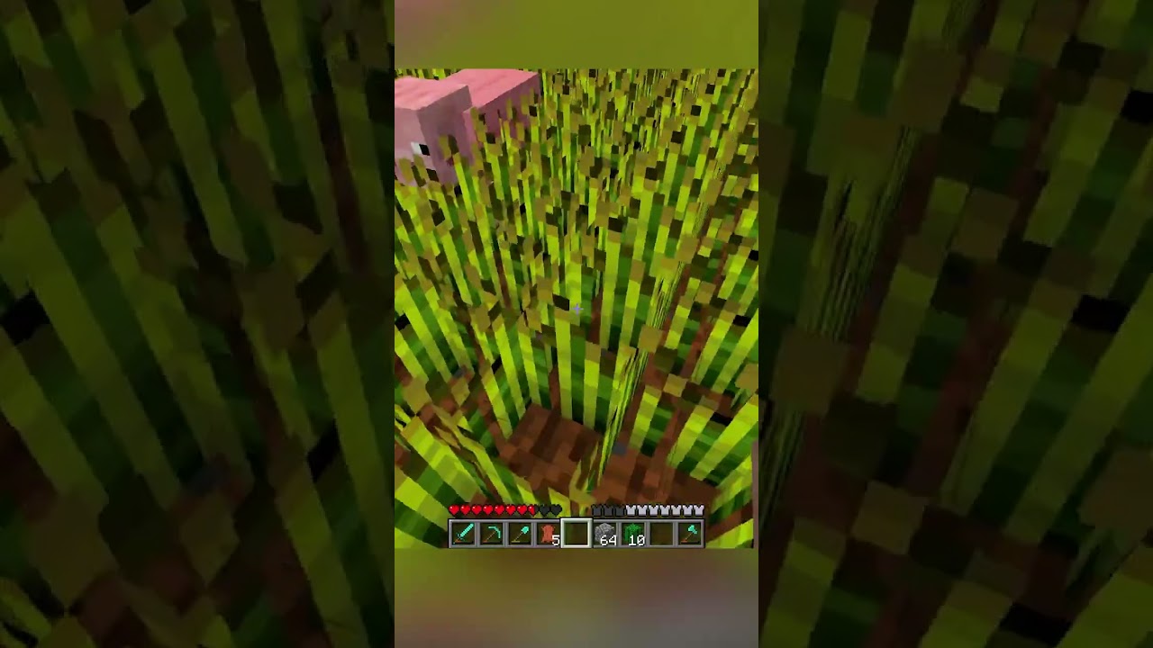 the weirdest things in Beta Minecraft
