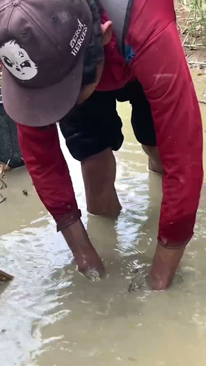look for fish in the water