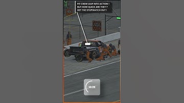 iRacing Pit Crew in Action !