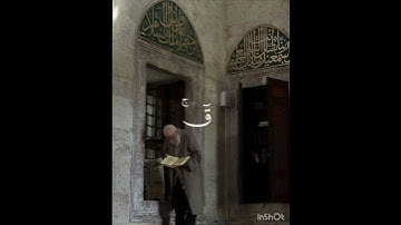 سوره ق #اكسبلور #فلسطين_حرة #لايك #tiktok #تيك_توك #ترند #قران_كريم #راحة_نفسية #المنشاوي
