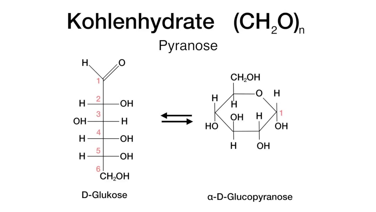 Kohlenhydrate Einführung - Monomere clipdocs.de - YouTube