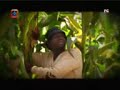 Mwine Mushi vs Kasaka - Kasaka is caught stealing maize cobs.