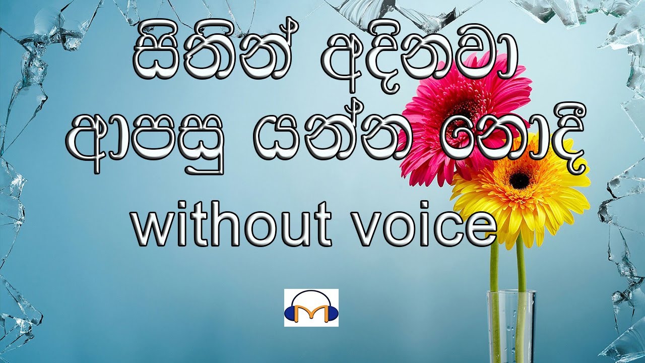 Sithin Adinawa Karaoke without voice     