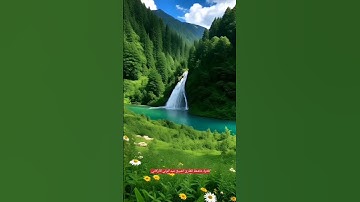 [سورة_الحجرات]#تلاوة_خاشعة_للقارئ_الشيخ_عبدالولي_الأركاني 📗🎧