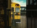 Why Are School Buses Yellow? The Science Behind It!