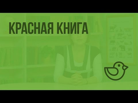 Красная книга. Видеоурок по окружающему миру 2 класс