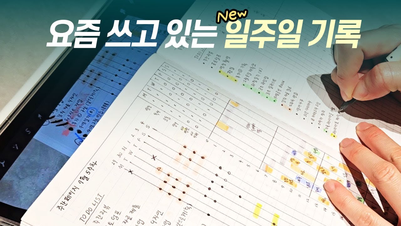 ✨새로운 주간 기록! 한번 같이 써보실래요?
