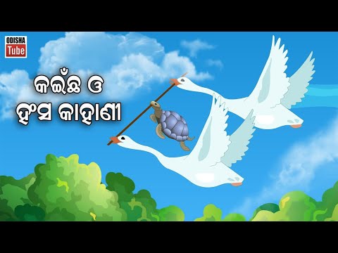 Odia Story | କଇଁଛ ଓ ହଂସ କାହାଣୀ | Odia Gapa | Kainchha O Hansa Kahani | Odia Cartoon Video