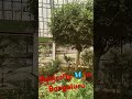 Butterfly park in Bengaluru