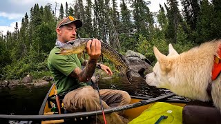 A Week in the Wilderness With Wolf - A Fly- In River Trip To Bond With My Dog. Sharing Food, Shelter