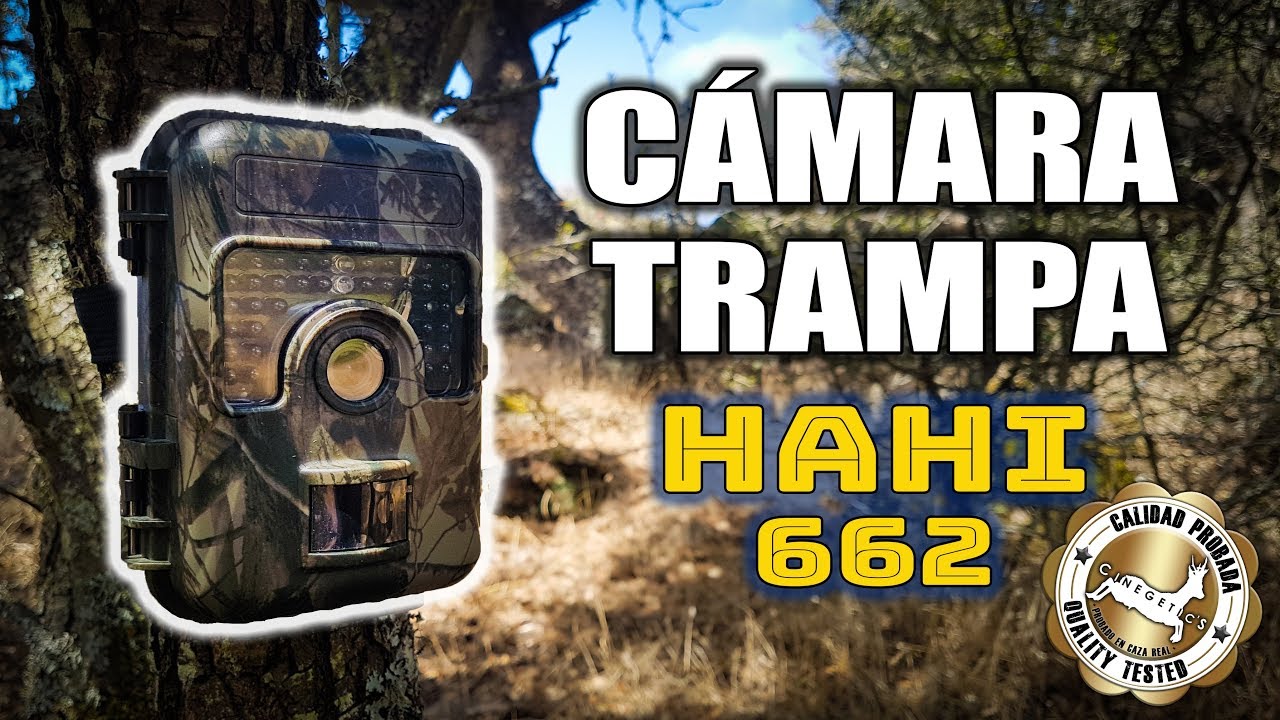 CÁMARA TRAMPA para ¿Solo - YouTube