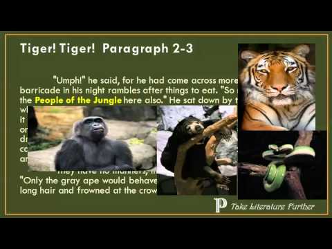 Past Plot The Jungle Book Tiger Tiger Video 1 YouTube