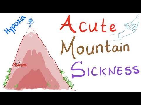 Acute Mountain Sickness (AMS); What Happens Up There ?
