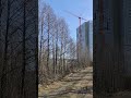 ЖК Зеленый остров: Современный жилой комплекс в живописном районе 🌿