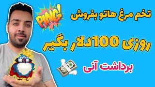 کسب درآمد دلاری و واریز روزانه ۱۰۰دلار