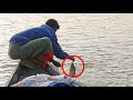 Net Fishing  | Amazing Catch FIshes From River