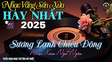 Nhạc TÌNH CA BOLERO Trữ Tình HAY NHẤT, ĐỘC LẠ 2025 - Nhạc Vàng Sến Xưa CỰC DỄ NGHE - NGHE LÀ SAY MÊ