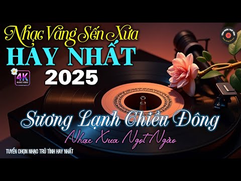 Video Nhạc TÌNH CA BOLERO Trữ Tình HAY NHẤT, ĐỘC LẠ 2025 - Nhạc Vàng Sến Xưa CỰC DỄ NGHE - NGHE LÀ SAY MÊ - youtube