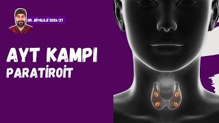 Endokrin Sistem Paratiroit Dr. Biyoloji Ayt Dönem 2026 - 2027