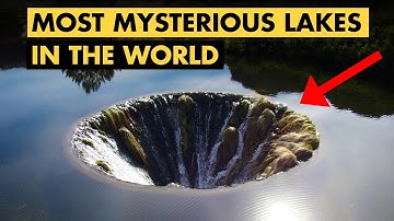 The World