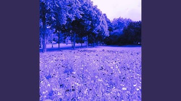 Pulsating Music for Calming Yearning