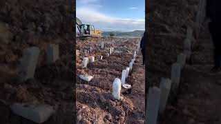 Son Yemekleri Son Uykuları