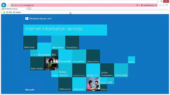 SSL Certificates: Subject and/or SAN?