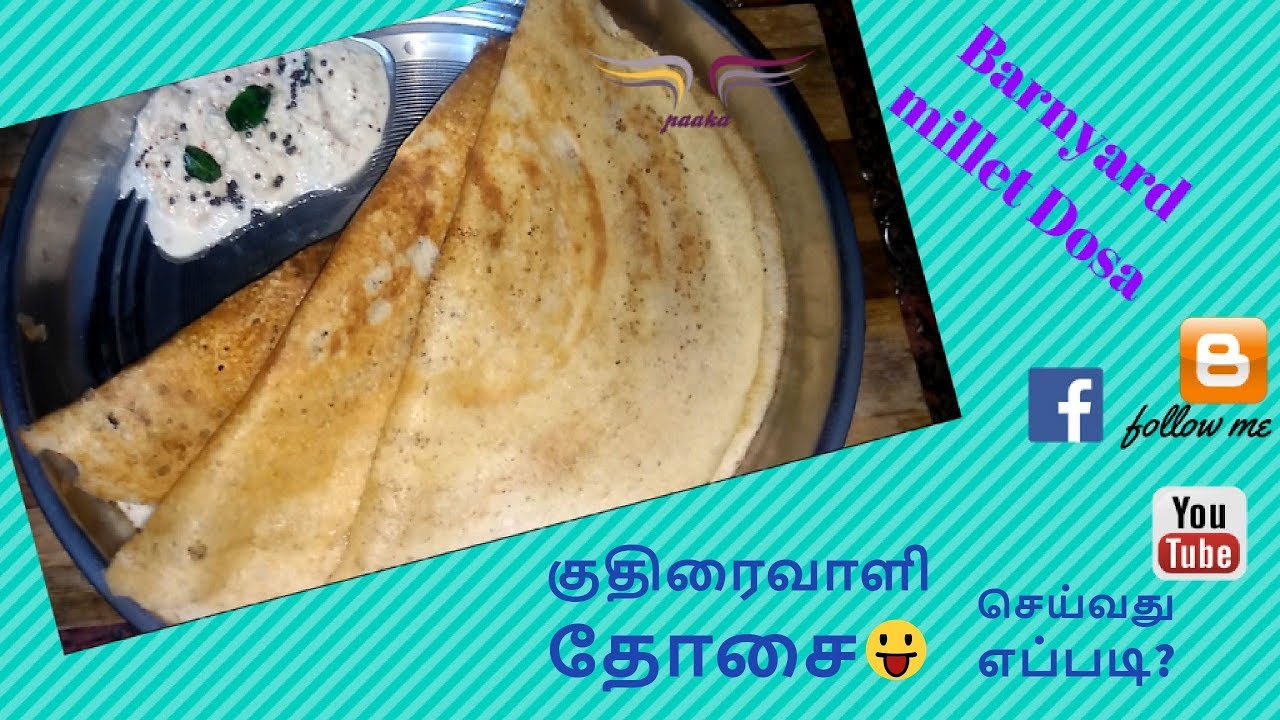 Barnyard millet dosa / குதிரைவாளி தோசை / barnyard millet /Paaka's