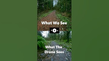 what we see vs what the drone sees