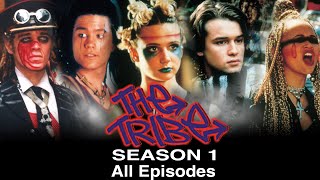 The Tribe - Season 1 - All Episodes! (Episodes 1- 52)