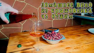 крыжовник вино своими руками ч2 отжим