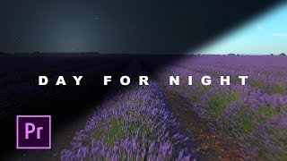Tutorial Editing Siang Menjadi Malam (Day for Night) - Adobe Premiere Pro