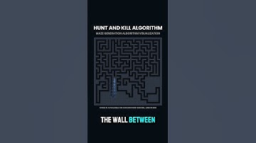HaK algorithm Maze Gen Visualization. #computerscience #dev #programming #coding #fyp #donevdev