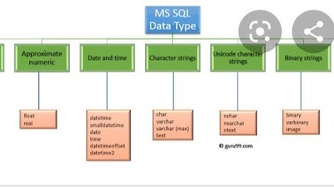 Data types in SQL server database in Telugu