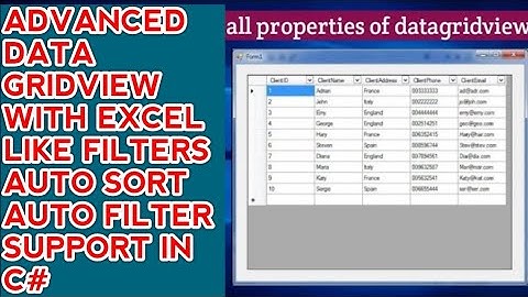 C# Advanced DataGridView | Excel-Like Auto Filter in WinForms