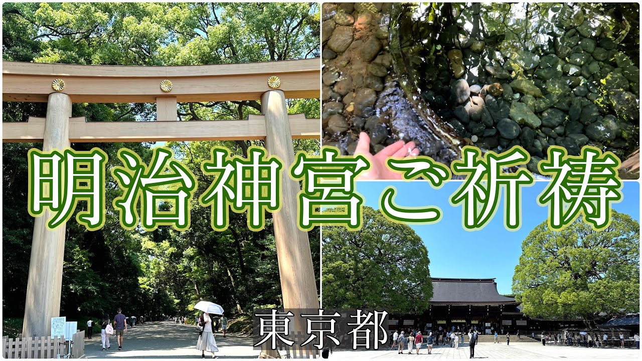 【明治神宮参拝・ご祈祷】大好きで通い続ける場所なので見て欲しい！深緑の森、初夏の陽光、大地のパワーを全身で感じる参拝。