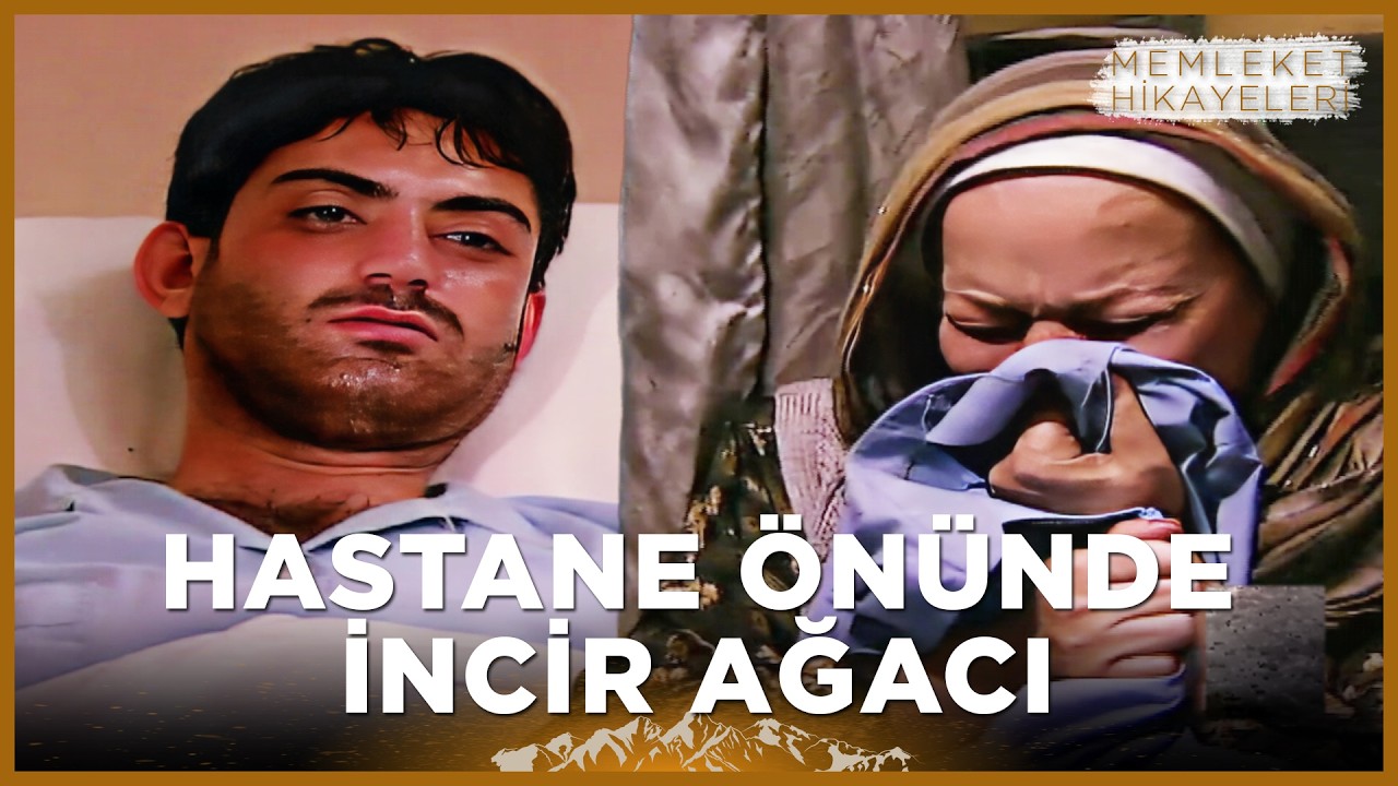 Hastane Önünde İncir Ağacı | Memleket Hikayeleri