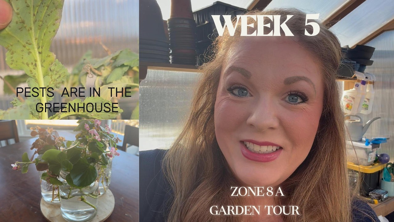 WEEK 5 ZONE 8A GARDEN TOUR / Pests are in the greenhouse