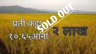 धेरै सस्तो जग्गा/2 लाख प्रति कठा जग्गा तुरुन्तै बिक्री/Cheapest land sale/2 lakhs per kattha,ढल्के