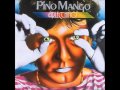 Mango - Un tocco di sogno