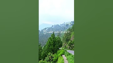 تلاوة مباركة من سورة الرعد بصوت غير معروف لدي