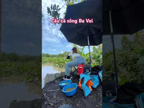Câu cá thiên nhiên sông ba voi #cauca #fishing #vyhanfishing
