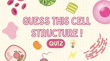 Cell Biology quiz! Cell structure | Parts of a cell #easyquiz  #quiz #cellbiology