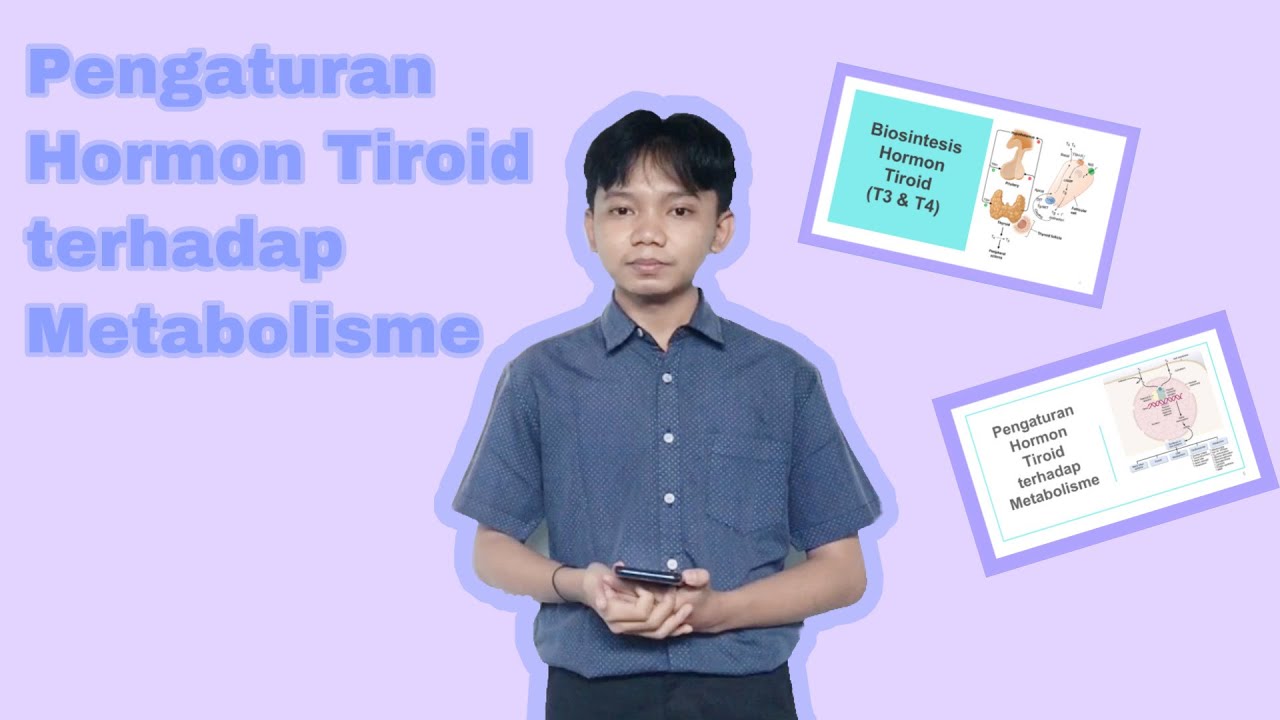 Pengaturan Hormon Tiroid terhadap Metabolisme 