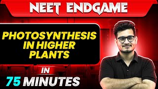 PHOTOSYNTHESIS IN HIGHER PLANTS in 75 Minutes || NEET 2024